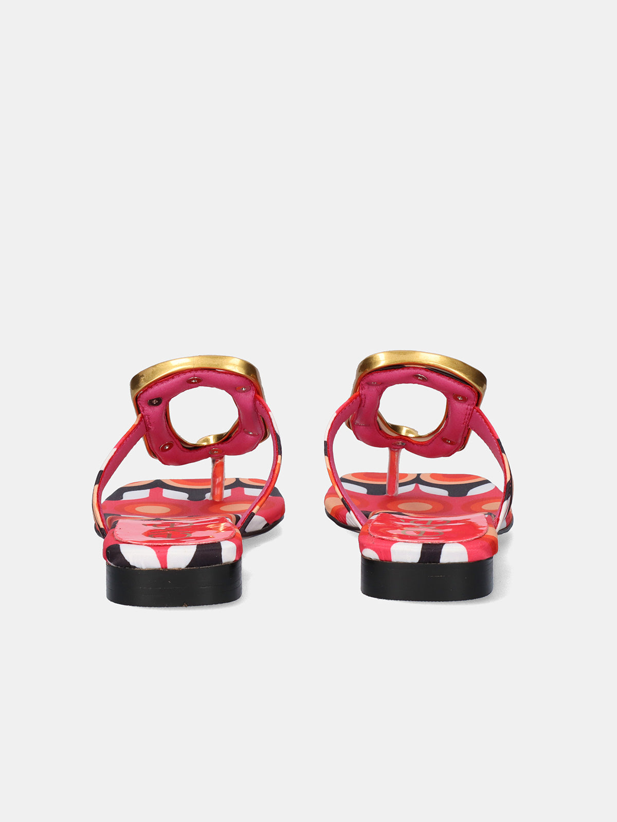 STORM-268 FLOWER CORAL