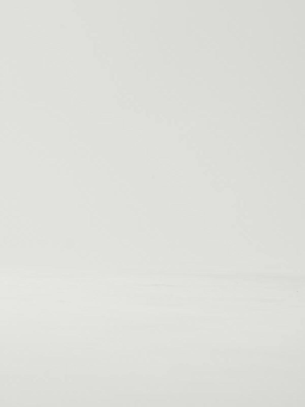 ANGELIA-815 PU LEOPARD BLACK