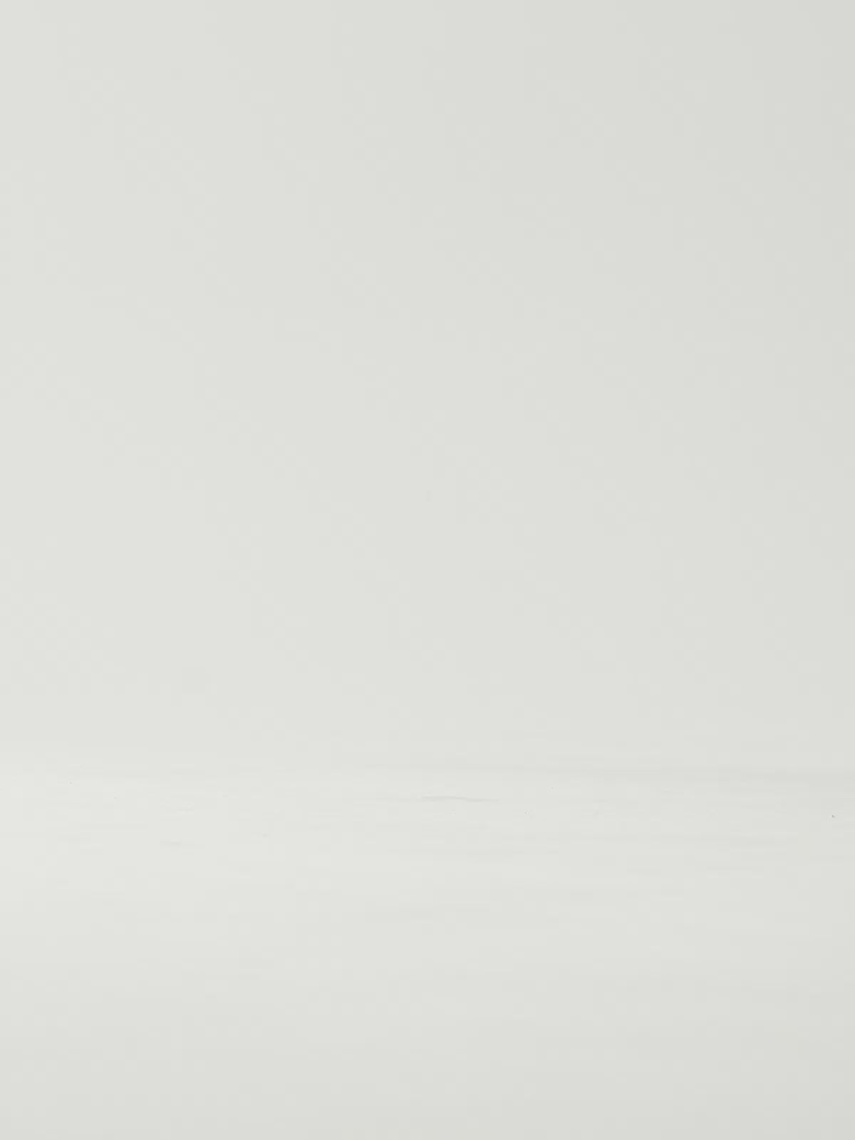 ANGELIA-815 PU LEOPARD BLACK