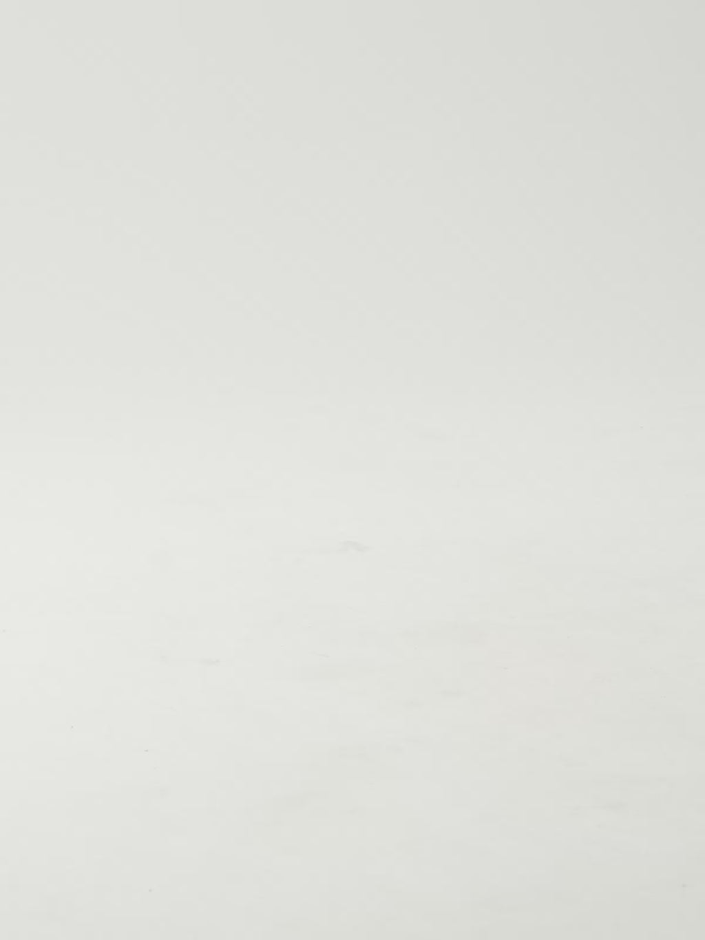 BLAIR-368 LEOPARD TAN