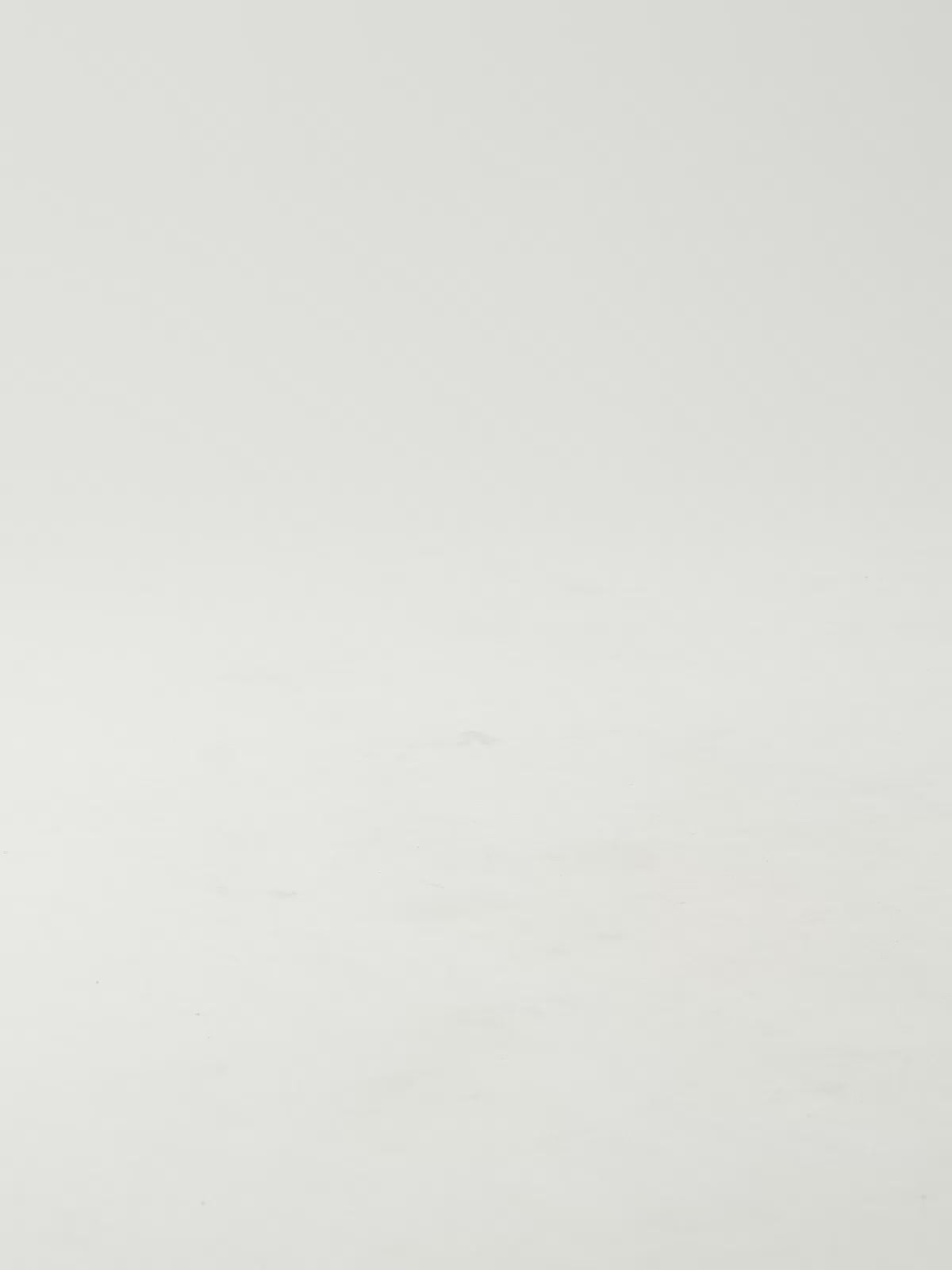 BLAIR-368 LEOPARD TAN